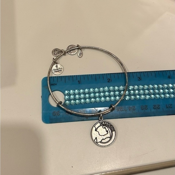 Cape Cod Alex & Ani Bangle Bracelet SIlver - Picture 7 of 7